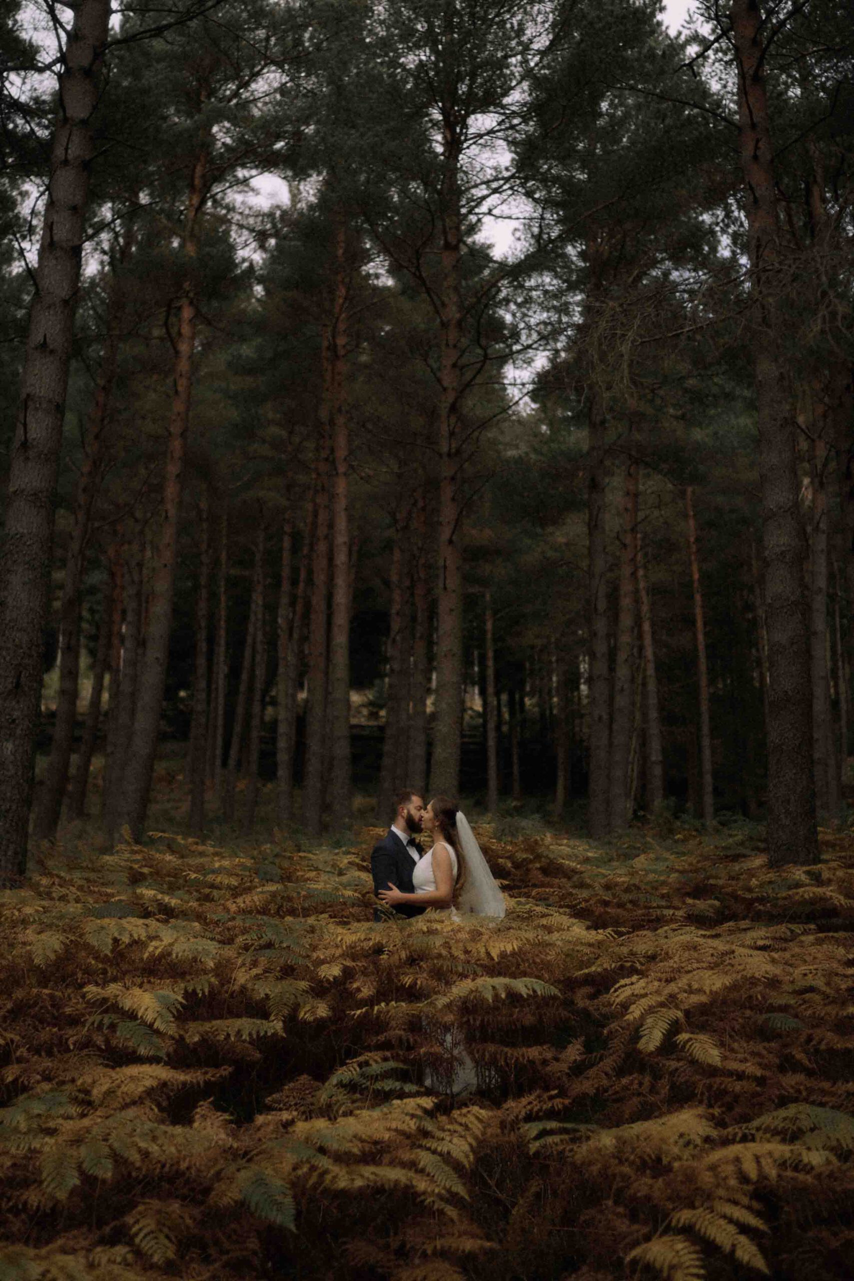 Hochzeitsfotograf Darmstadt Heiraten in Darmstadt Hochzeitsfotograf Frankfurt